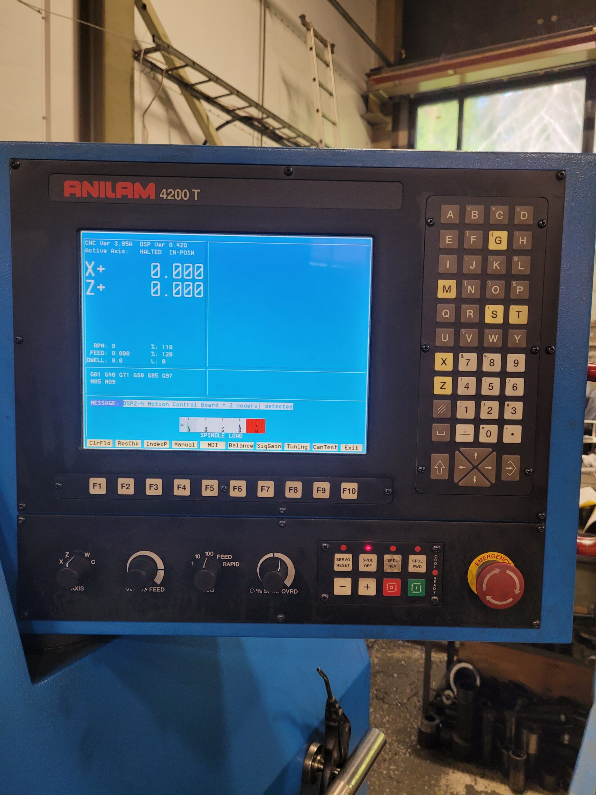 Opetettava sorvi Jessey - Image 3