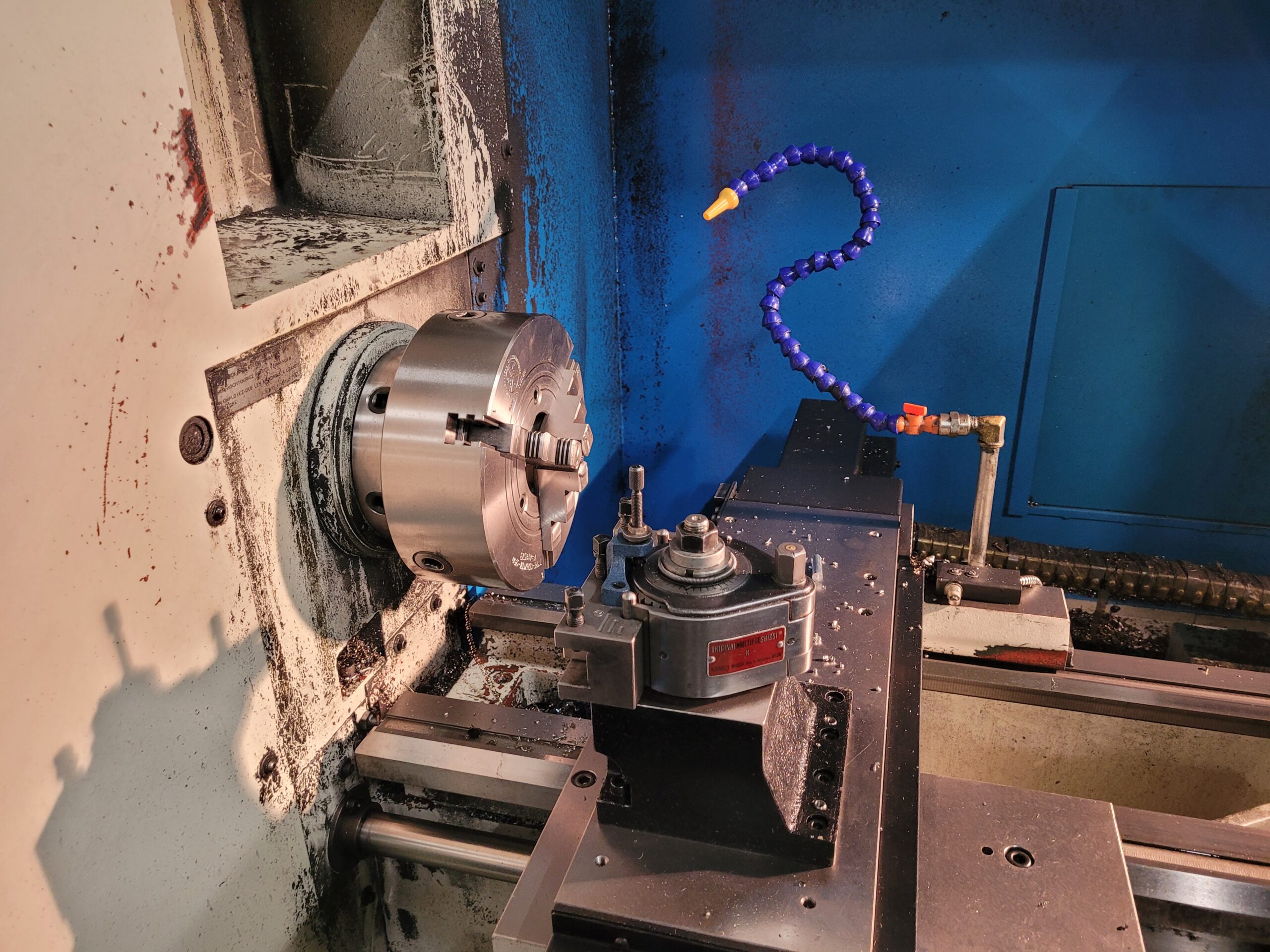 Opetettava sorvi Jessey - Image 4